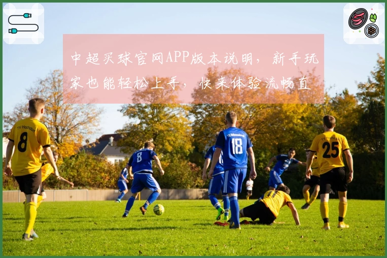 中超买球官网APP版本说明，新手玩家也能轻松上手，快来体验流畅直播！