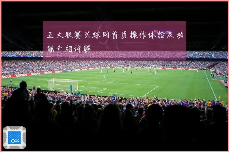 五大联赛买球网首页操作体验及功能介绍详解