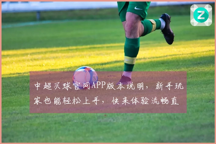 中超买球官网APP版本说明，新手玩家也能轻松上手，快来体验流畅直播！